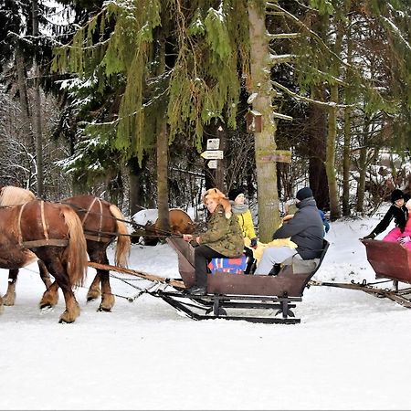 Wigierski Park Narodowy Daire Suwałki Dış mekan fotoğraf