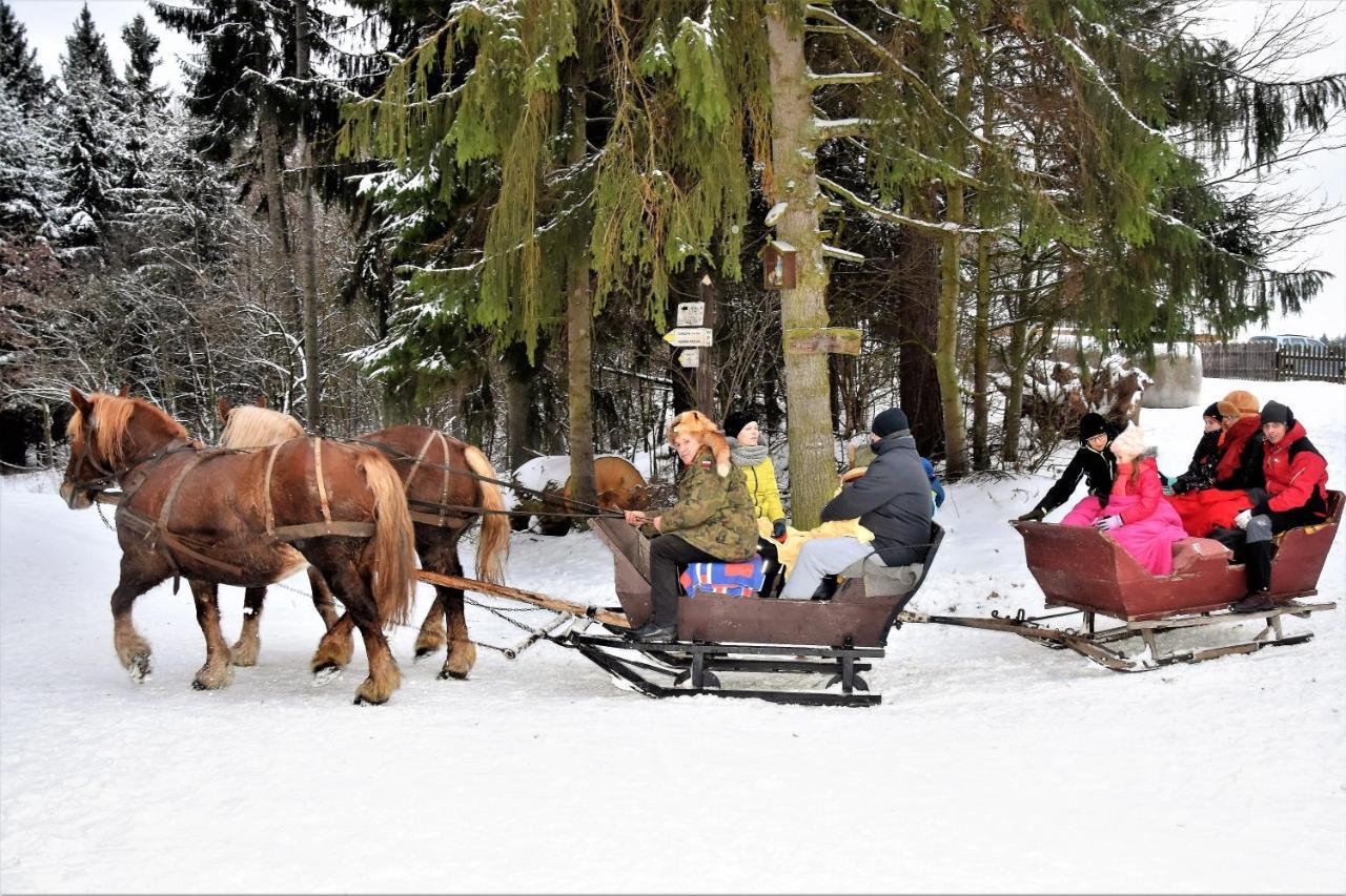 Wigierski Park Narodowy Suwałki Dış mekan fotoğraf