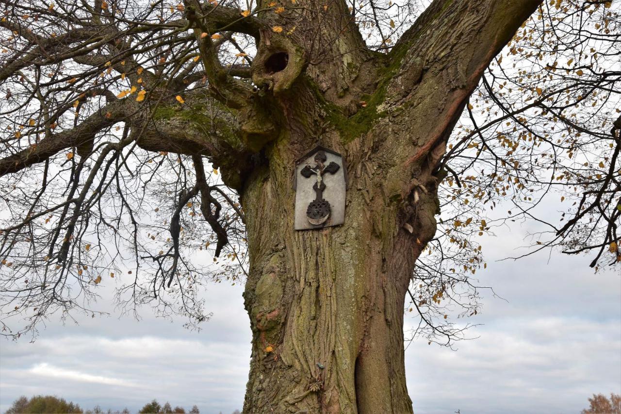 Wigierski Park Narodowy Suwałki Dış mekan fotoğraf