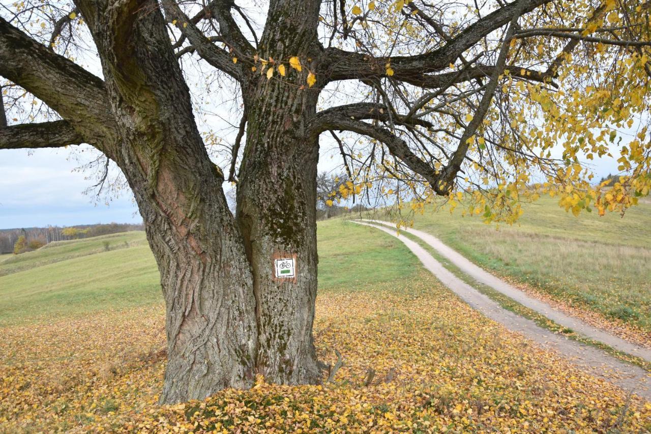 Wigierski Park Narodowy Suwałki Dış mekan fotoğraf