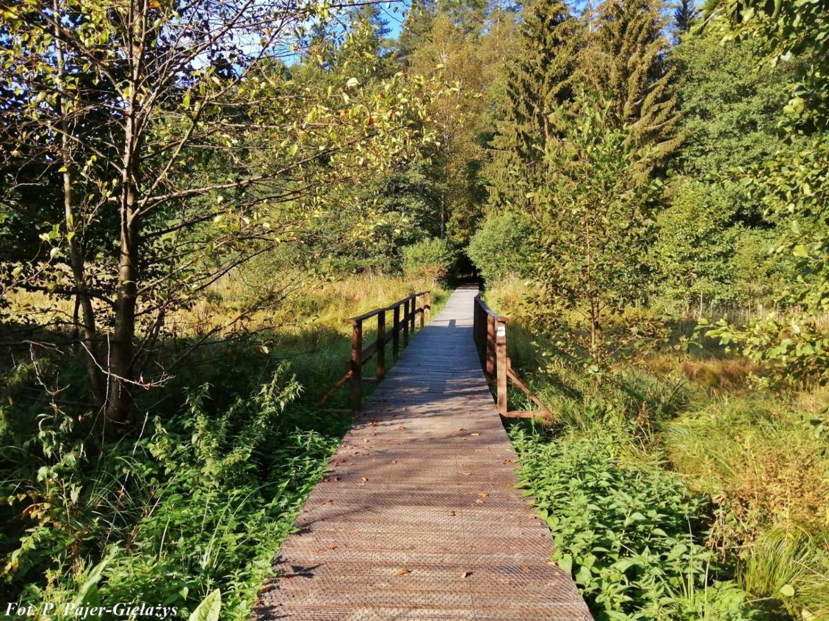 Wigierski Park Narodowy Daire Suwałki Dış mekan fotoğraf